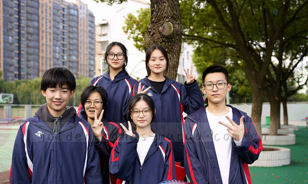 胶囊形标签密集排列的微距特写，选中态以沙金底呈现